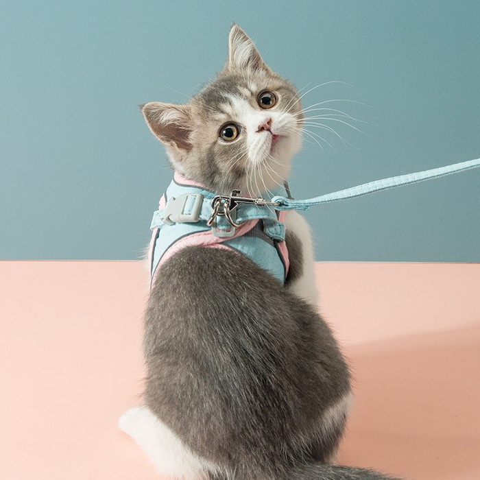 Comfortable Cat Harness & Leash