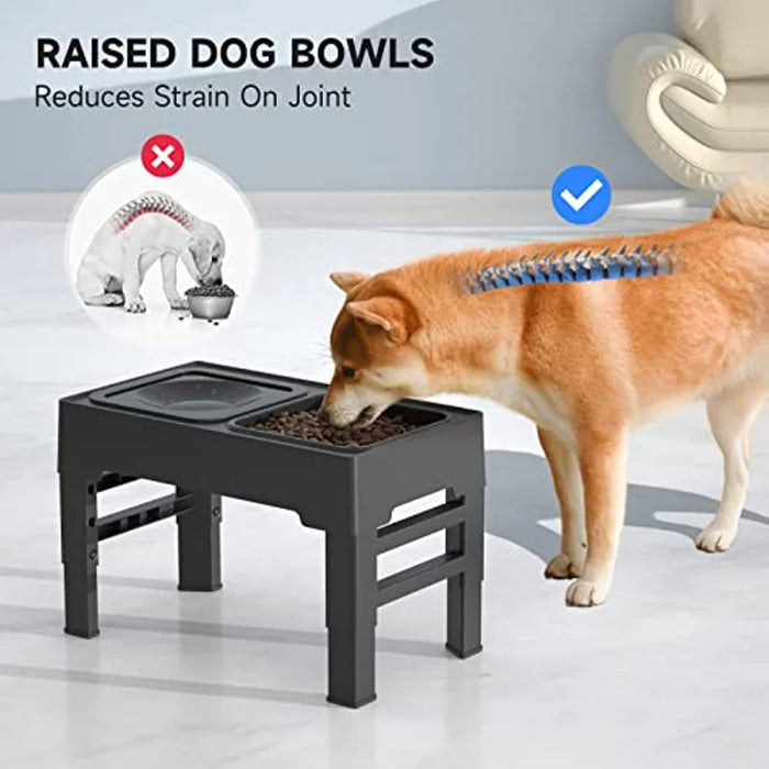 Raised Dog Bowls