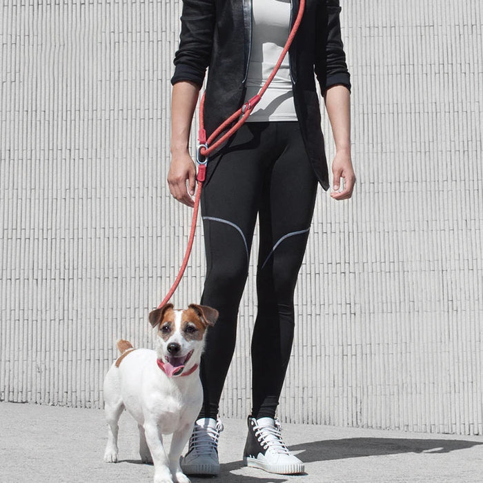 Reflective Nylon Dog Leash