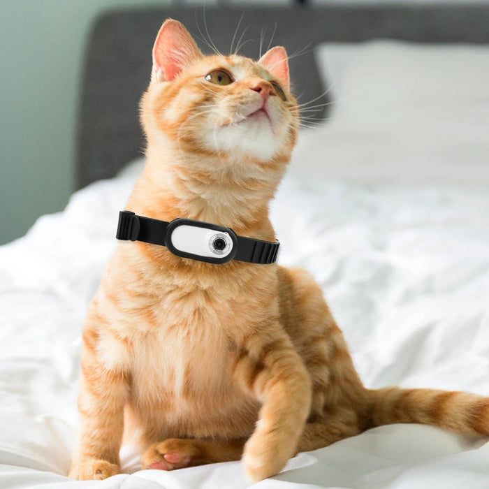 Pet Camera Collar