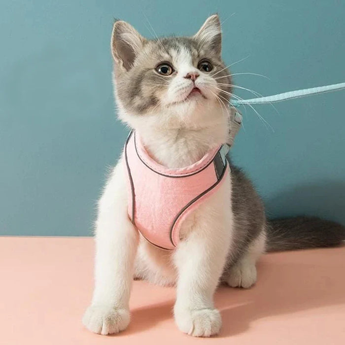 Comfortable Cat Harness & Leash