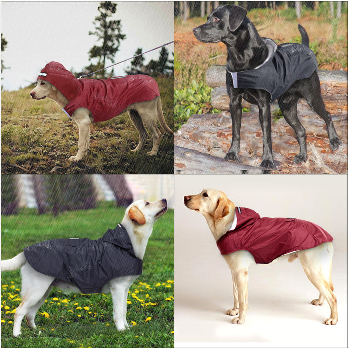 Chic Waterproof Dog Raincoat