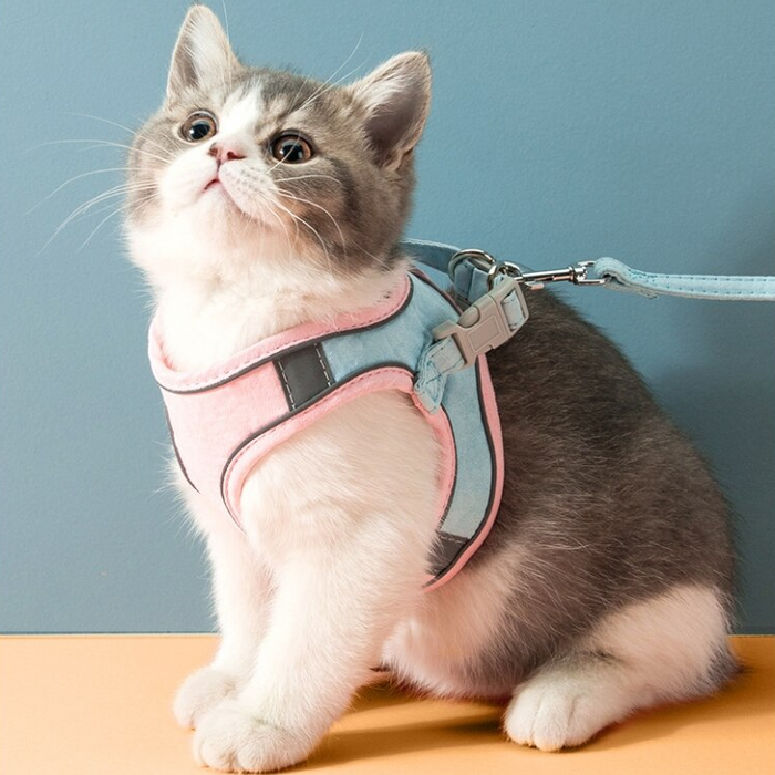 Comfortable Cat Harness & Leash