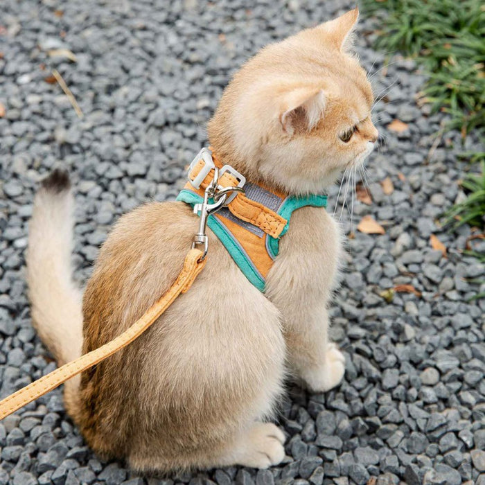 Comfortable Cat Harness & Leash