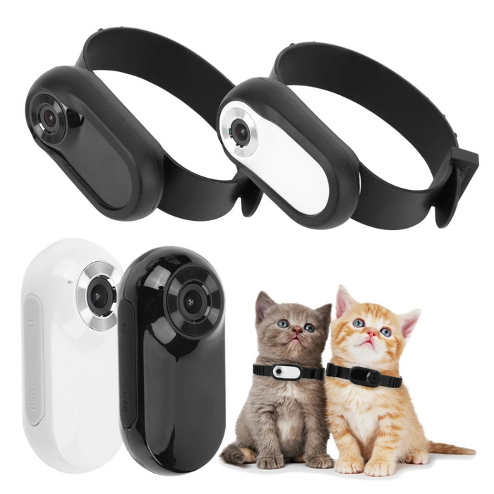 Pet Camera Collar